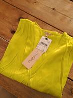 ESQUALO shirt Nieuw Maat 40 Lemon kleur, Kleding | Dames, Maat 38/40 (M), Overige kleuren, Ophalen of Verzenden, Korte mouw