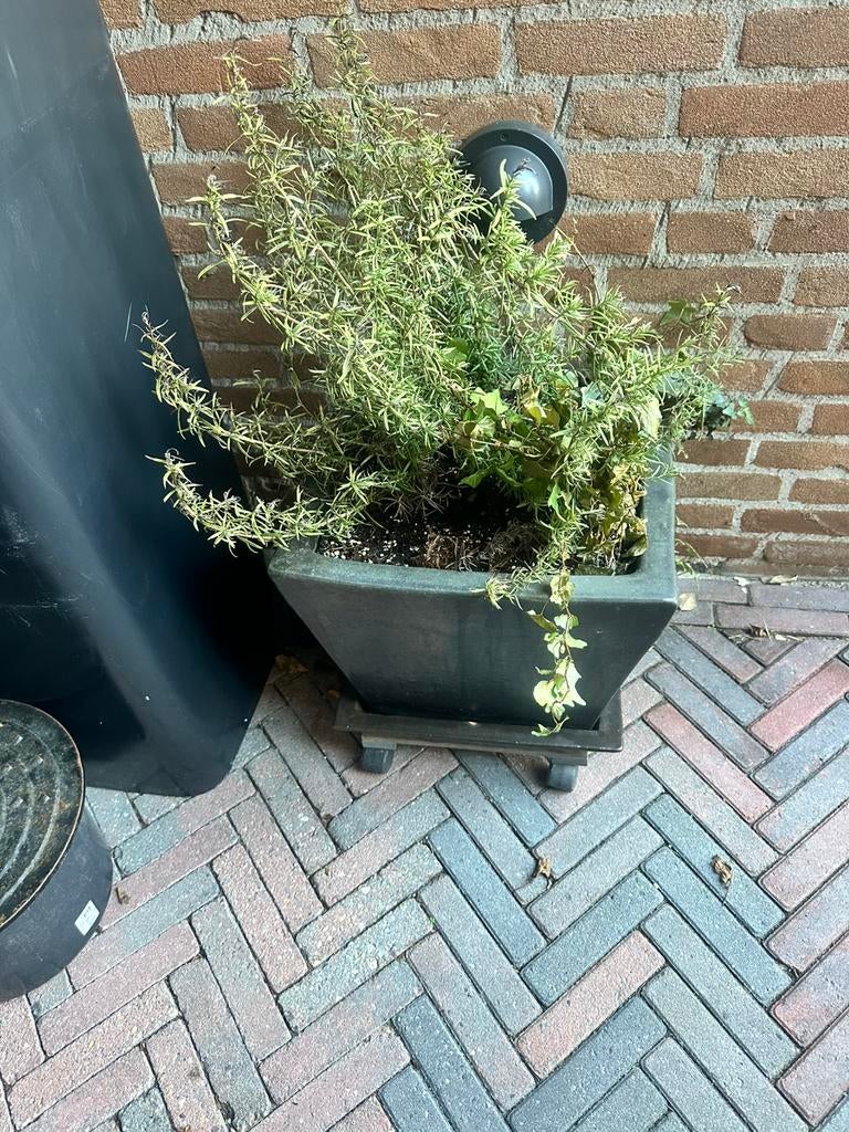 bloembak hardsteen antraciet grijs, Ophalen, Zo goed als nieuw, Rond, Kunststof