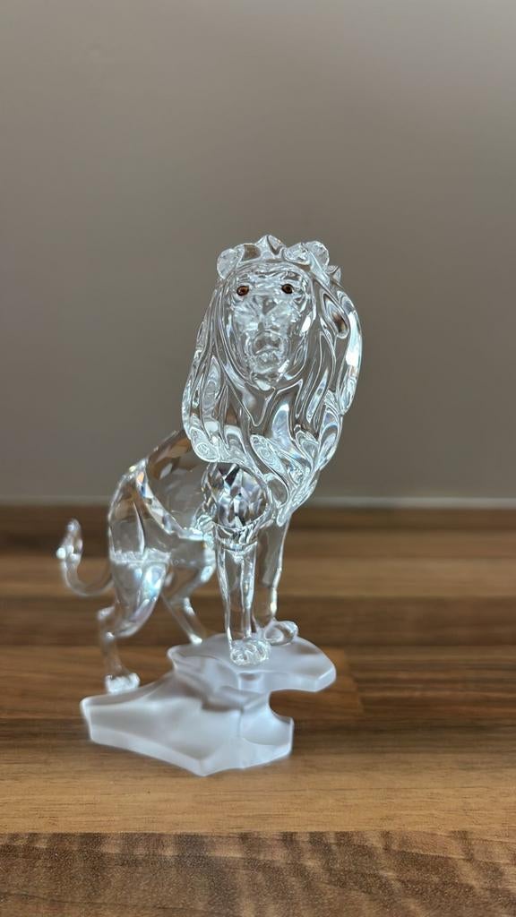 Leeuw op rots, Ophalen of Verzenden