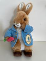 Beatrix Potter Peter Rabbit Pluche Knuffel Konijn Nieuw Doos, Ophalen of Verzenden, Nieuw, Dier