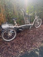 Van Raam Twinny Elektrische Tandem Driewieler, Minder dan 10 versnellingen, Gebruikt, Minder dan 49 cm, Ophalen of Verzenden