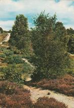 EPE Heidelandschap, Verzenden, 1960 tot 1980, Gelopen, Gelderland