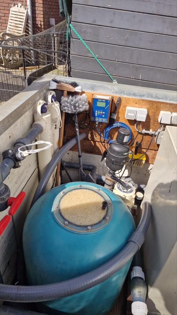 Complete vijver tekoop met koikarpers en filtersysteem, Dieren en Toebehoren, Karper of Koi