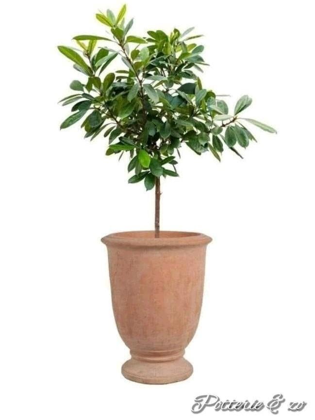 Prachtige terracotta vazen / potten 3 delig sets, Tuin en Terras, Ophalen, Nieuw