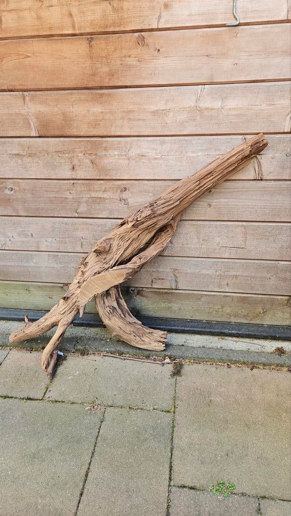 mooi groot boom/wortel stuk, Dieren en Toebehoren, Ophalen, Gebruikt, Plant(en), Steen of Hout