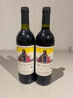 2 Flessen Les Salices Merlot 1999, Verzamelen, Wijnen, Gebruikt, Frankrijk, Ophalen of Verzenden, Rode wijn