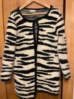 Mooi vest maat 36/38, Kleding | Dames, Ophalen of Verzenden, Zo goed als nieuw, Maat 36 (S), Zwart