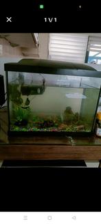 Aquarium met toebehoren.Prijs is 30 euro, Dieren en Toebehoren, Vissen | Aquaria en Toebehoren, Ophalen of Verzenden, Zo goed als nieuw