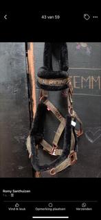 Qhp kaptoom cob, Ophalen of Verzenden