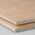 Hardwood multiplex interieur 244x122cm, Ophalen, Nieuw, Multiplex, Minder dan 20 mm