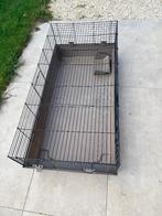 Cavia kooi, Dieren en Toebehoren, Knaagdieren en Konijnen | Hokken en Kooien, Minder dan 60 cm, Kooi, Ophalen of Verzenden, Cavia