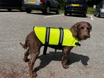 Reddingsvest hond maat M (Cocker Spaniel 13-14 kg), Dieren en Toebehoren, Ophalen of Verzenden, Nieuw