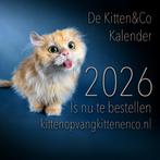 Kittenkalender/verjaardagskalender Kittenopvang Kitten&Co, Verzenden, Nieuw