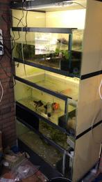Aquariumstelling, Dieren en Toebehoren, Vissen | Aquaria en Toebehoren, Ophalen, Gebruikt, Leeg aquarium