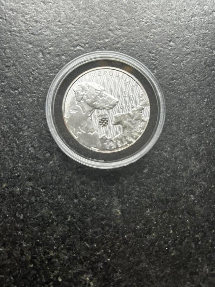 Zilveren Dalmatiër munt, Dieren en Toebehoren, Hondenhalsbanden en Penningen, Nieuw, Ophalen of Verzenden