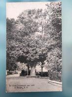 Bergen NH uit 1934 ,oude Lindeboom van 1634, Ophalen of Verzenden, 1920 tot 1940, Noord-Holland