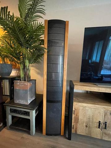 Martin Logan The Sequel II beschikbaar voor biedingen