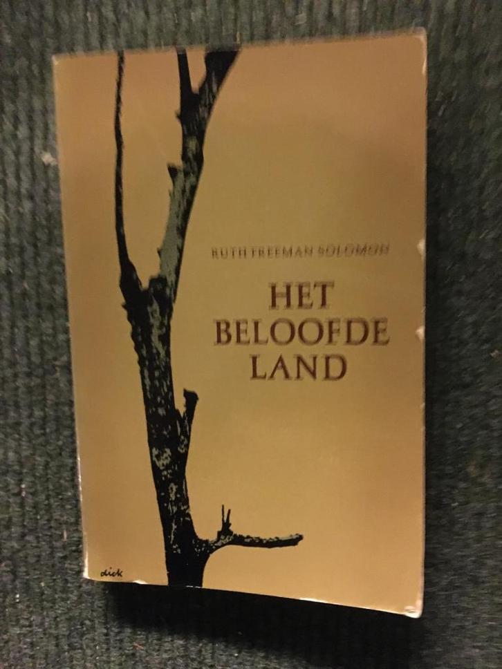 Het beloofde land ; Ruth Freeman Solomon #Rusland #Joods, Boeken, Literatuur, Gelezen, Europa overig, Ophalen of Verzenden