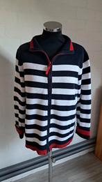 Witteveen vest maat 40., Ophalen of Verzenden, Zo goed als nieuw, Maat 38/40 (M), Blauw