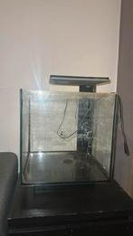 Auqarium, Dieren en Toebehoren, Vissen | Aquaria en Toebehoren, Ophalen, Gebruikt