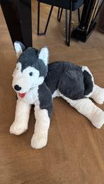 Knuffel Syberische Huskey, Ophalen of Verzenden, Gebruikt, Hond
