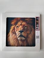 Glas-art Leeuw 20x20cm, Ophalen of Verzenden, Nieuw