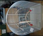 Twee vogelkooien, Dieren en Toebehoren, Vogels | Hokken en Kooien, Ophalen