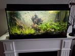 aquarium 80 x 40 zwart met kap en verlichting, Ophalen, Leeg aquarium