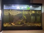 Superfish start 70 Aquarium, Ophalen of Verzenden, Zo goed als nieuw, Gevuld zoetwateraquarium