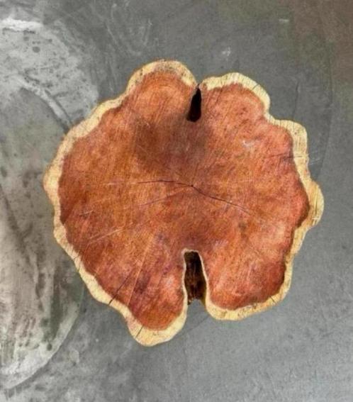 Taxus schijf ! Unieke hout soort, Huis en Inrichting, Woonaccessoires | Dienbladen, Zo goed als nieuw, Hout, Rond, Ophalen of Verzenden