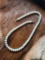 Elle Aime Parel Donut ketting, Ophalen of Verzenden, Nieuw, Wit, Goud