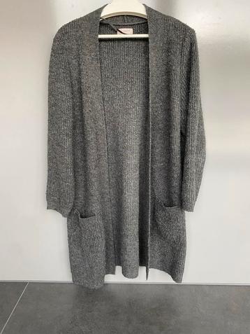 Only Carmakoma vest grijs maat 42/44 (valt ruim) beschikbaar voor biedingen
