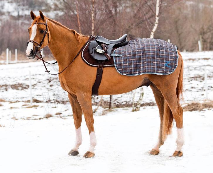 Horze uitrijdeken/rijdeken maat Full, Dieren en Toebehoren, Paarden en Pony's | Dekens en Dekjes, Nieuw, Deken, Ophalen of Verzenden