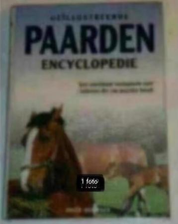 Geïllustreerde paardenencyclopedie door Josee Hermsen.  beschikbaar voor biedingen