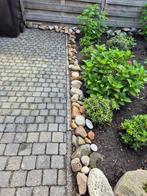 diverse rotsblokken, Tuin en Terras, Grind, Keien en Split, Ophalen, Gebruikt, Overige materialen, Overige typen
