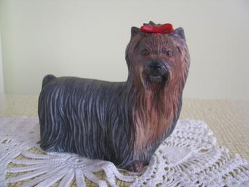 Vaga Int. Akita * porselein * Yorkshire terriër + strik rood beschikbaar voor biedingen