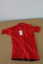 Castelli Classifica Jersey L, Ophalen of Verzenden, Nieuw, Kleding