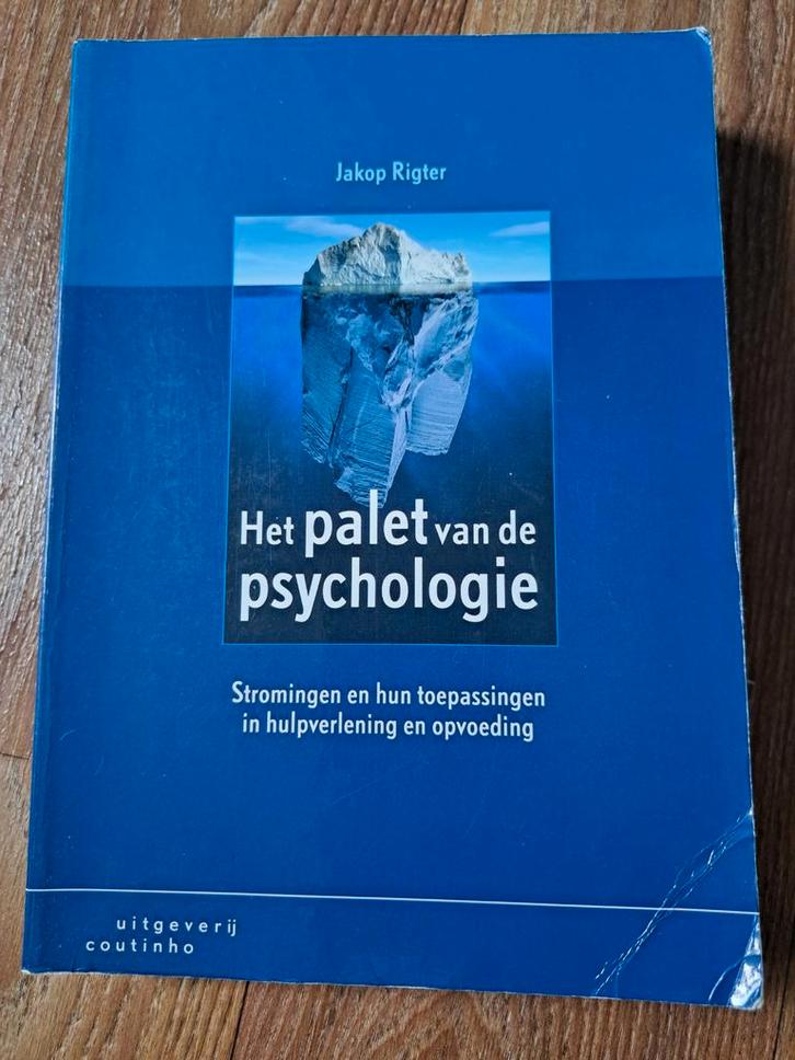 Het Palet van de Psychologie - Rigter, Boeken, Psychologie, Zo goed als nieuw, Cognitieve psychologie, Ophalen of Verzenden