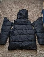 Burberry Puffer Jas/Bodywarmer - Nieuw - Maat L, Maat 52/54 (L), Zwart, Nieuw, Ophalen of Verzenden
