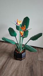 LEGO #10289 - Icons - Paradijsvogelplant / Bird Of Paradise, Ophalen of Verzenden, Zo goed als nieuw