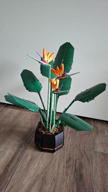 LEGO #10289 - Icons - Paradijsvogelplant / Bird Of Paradise beschikbaar voor biedingen