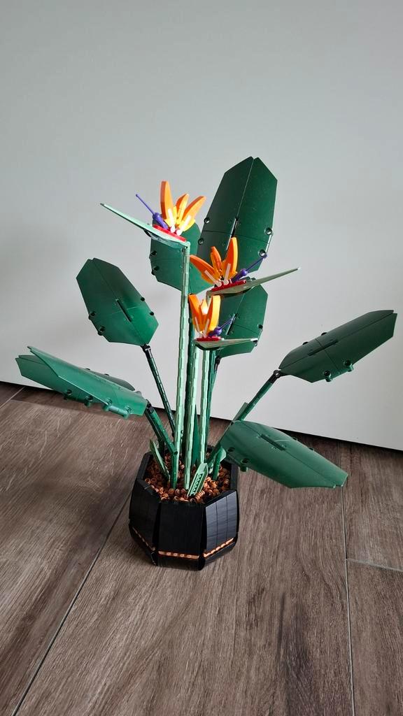 LEGO #10289 - Icons - Paradijsvogelplant / Bird Of Paradise, Kinderen en Baby's, Speelgoed | Duplo en Lego, Zo goed als nieuw