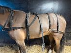 IDEAL webtech enkelspantuig, Dieren en Toebehoren, Paarden en Pony's | Hoofdstellen en Tuigage, Ophalen, Zo goed als nieuw, Overige soorten