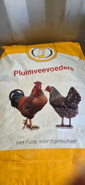 pluimvee legkorrel  beschikbaar voor biedingen