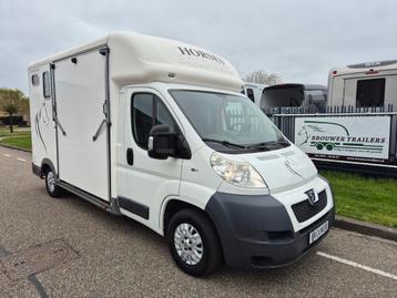 Zeer mooie en perfect onderhouden Peugeot horsetruck  beschikbaar voor biedingen