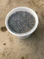 Budget voer, Overige soorten