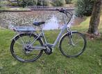 Electrische fiets Trek Navigator T700 nieuwe accu 70km, Fietsen en Brommers, Elektrische fietsen, Ophalen, Zo goed als nieuw, Overige merken