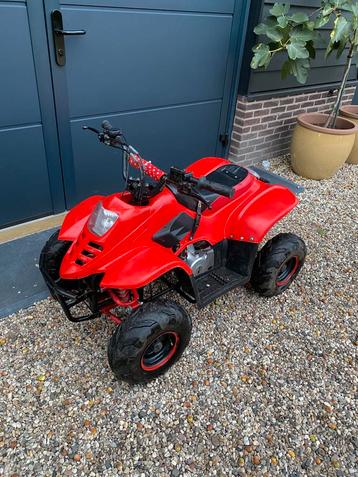 Kinderquad / mini quad nitro 125cc 4takt crosser beschikbaar voor biedingen