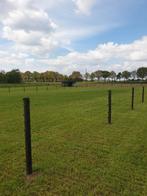 wei te huur, weiland, grondstuk, perceel