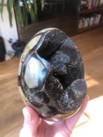 Septarie Drakenei zgan 1237 gram, Ophalen of Verzenden, Mineraal